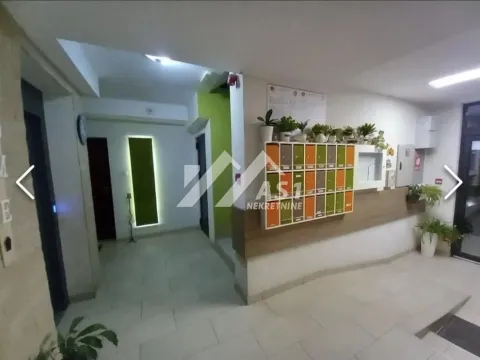 Izdavanje, jednosoban stan, 36m², Nova Detelinara, Novi Sad Sve Podlokacije - image 8