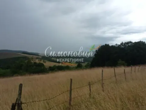 Sale, land lot, 10000m², Divčibare, Valjevo - image 11