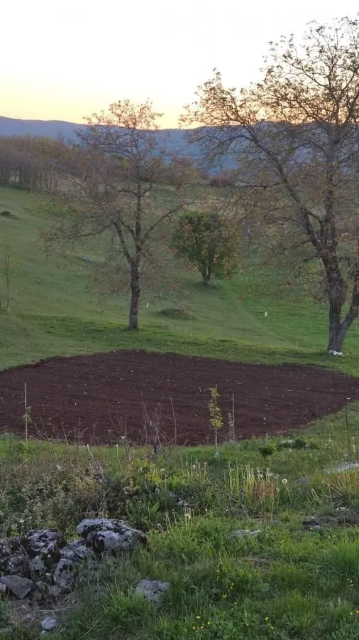 Prodaja, plac, 136000m², Dubočke, Nikšić