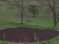 Sale, house, 60m², Dubočke, Nikšić - image 13