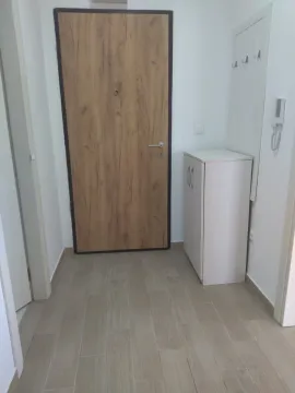 Rent, one bedroom apartment, 47m², Stari Aerodrom, Podgorica - image 14