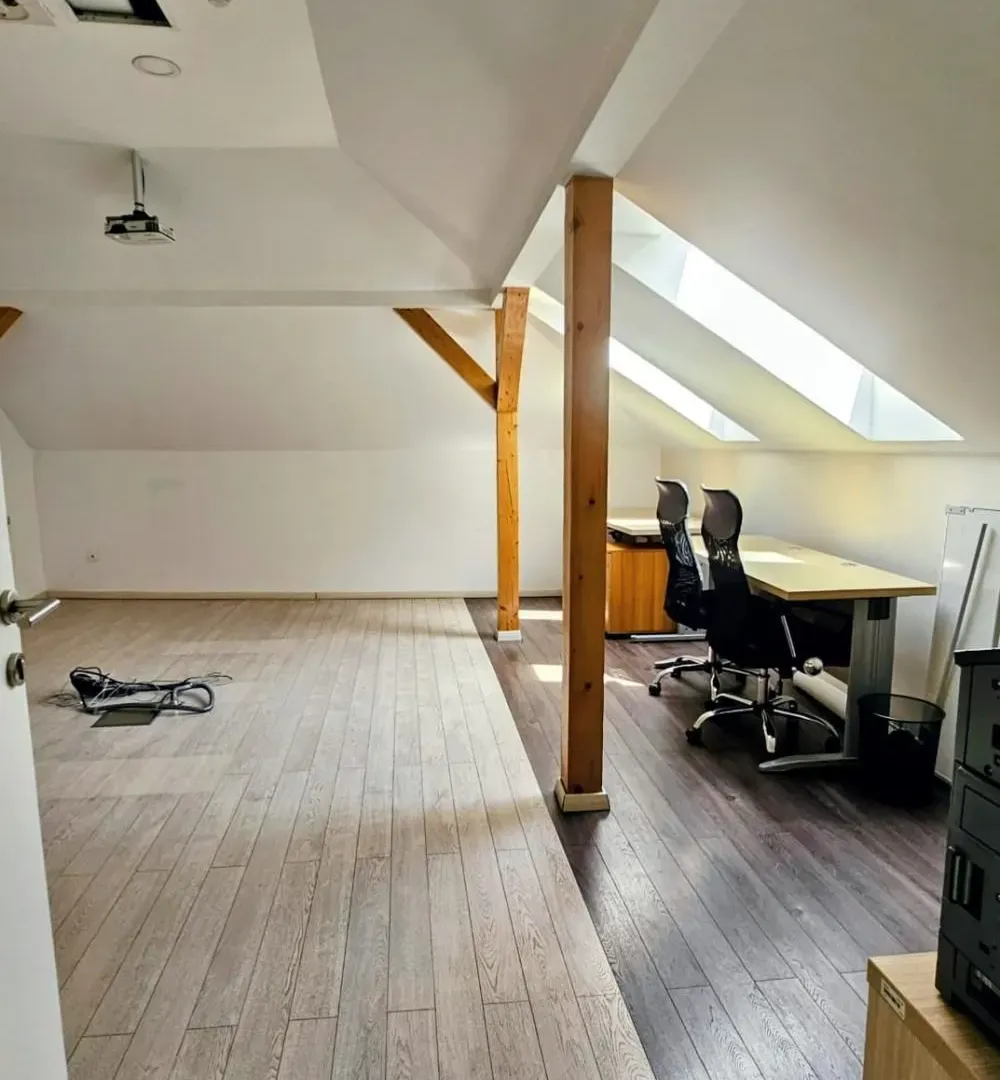 Rent, office space, 318m², Profesorska Kolonija, Palilula Sve Podlokacije