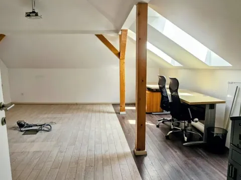 Rent, office space, 318m², Profesorska Kolonija, Palilula Sve Podlokacije - image 17