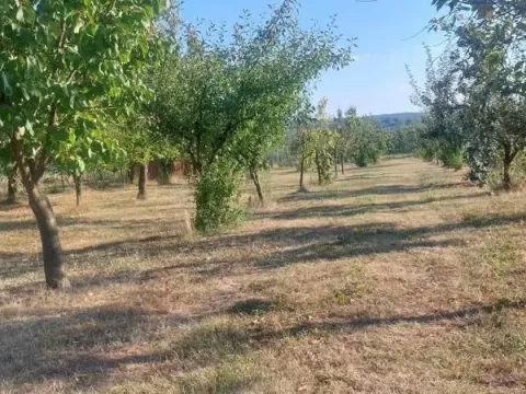 Sale, land lot, 1587m², Voždovac Sve Podlokacije, Beograd - image 13