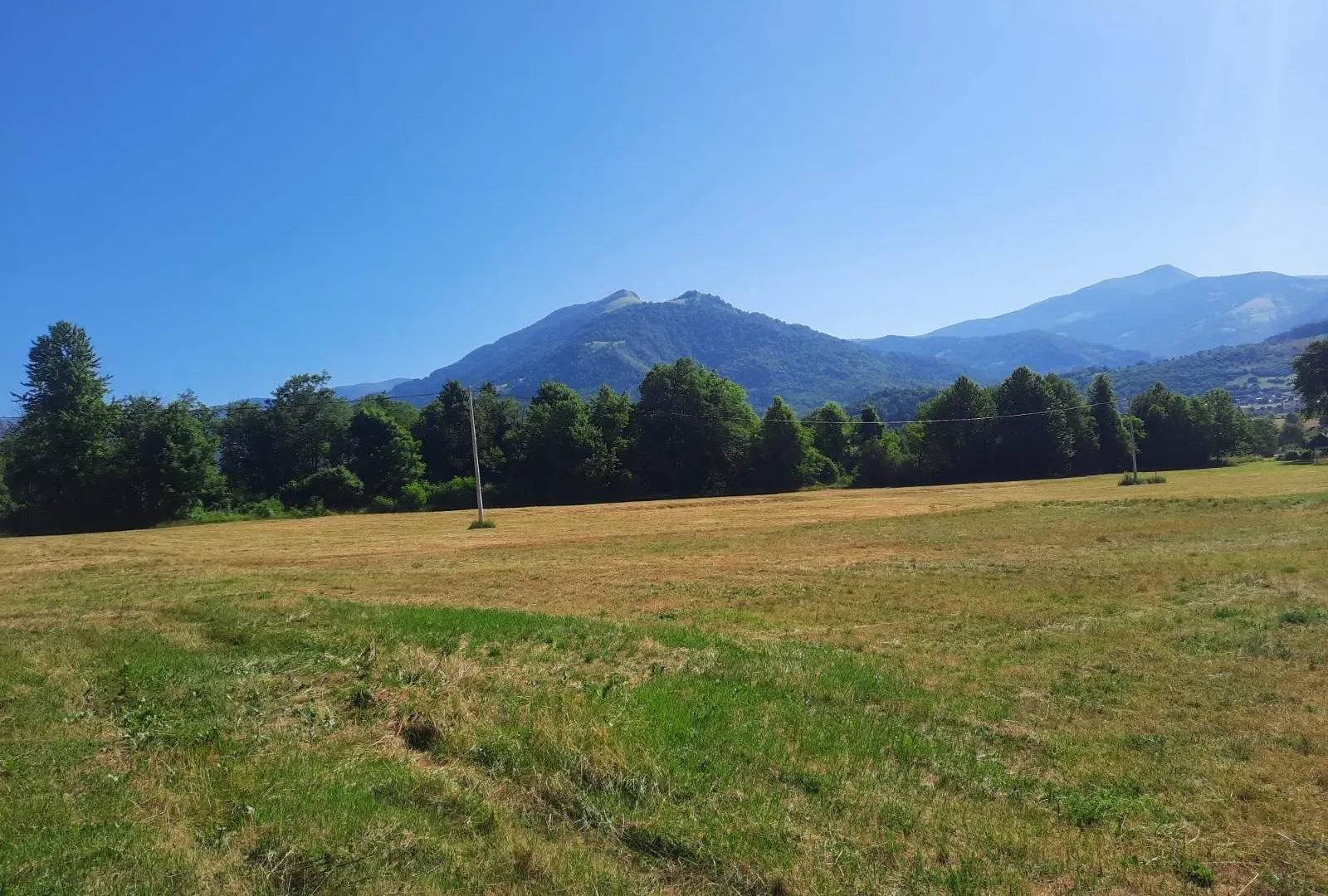 Prodaja, plac, 1000m², Centar, Plav