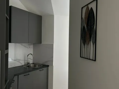 Rent, one bedroom apartment, 45m², Zagorič, Podgorica - image 6
