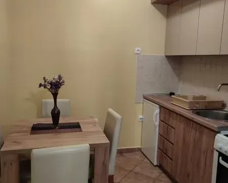 Izdavanje, jednosoban stan, 44m², Grbavica, Novi Sad Sve Podlokacije - image 4