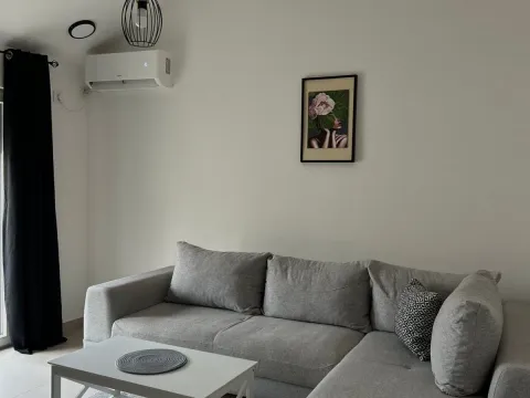Rent, one bedroom apartment, 44m², Zagorič, Podgorica - image 3