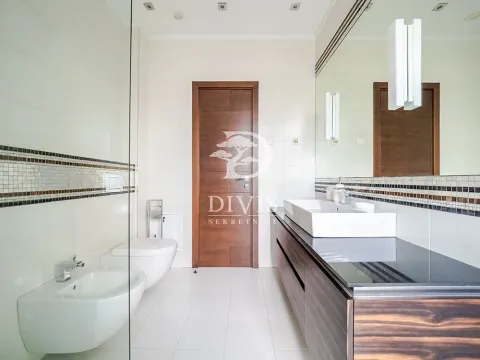 Izdavanje, četvorosoban stan, 234m², Dedinje Sve Podlokacije, Beograd - image 10