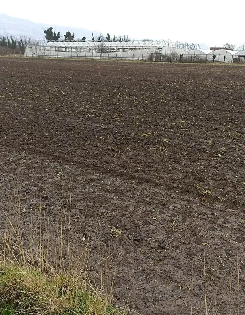 Prodaja, plac, 4500m², Danilovgrad, Crna Gora