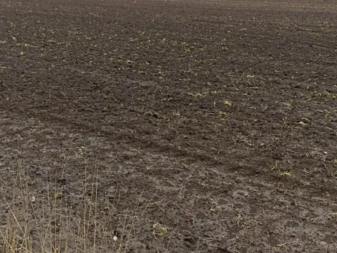 Sale, land lot, 4500m², Danilovgrad, Crna Gora - image 6