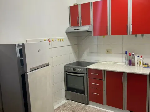 Izdavanje, jednosoban stan, 44m², Stari Aerodrom, Podgorica - image 4