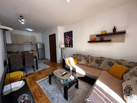 Rent, one bedroom apartment, 45m², Tuški Put, Podgorica - image 2