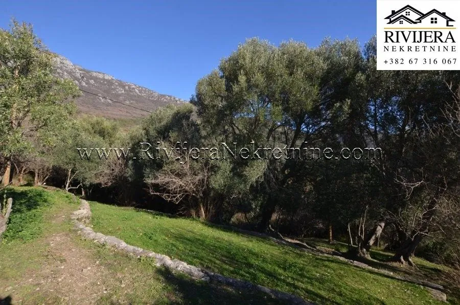 Prodaja, plac, 5345m², Zelenika, Herceg Novi