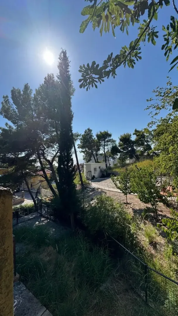 Pogled na zeleno dvorište i okolne objekte.