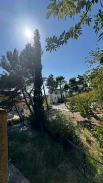 Pogled na zeleno dvorište i okolne objekte. - image 3