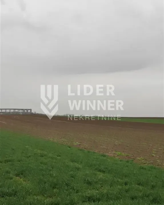 Prodaja, plac, 13600m², Surčin, Beograd