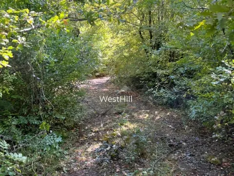 Prodaja, plac, 47894m², Danilovgrad, Crna Gora - image 3