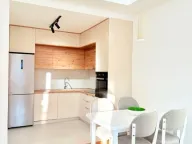 Izdavanje, jednosoban stan, 47m2, Zabjelo, Podgorica