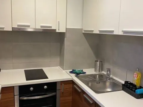 Rent, two bedroom apartment, 55m², Novi Beograd Blok 65, Novi Beograd Sve Podlokacije - image 6