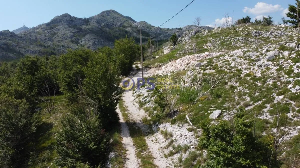 Prodaja, plac, 55000m², Cetinje, Crna Gora