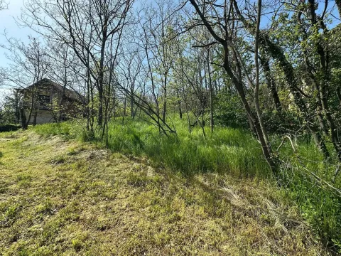 Prodaja, plac, 300m², Vršac, Srbija - image 2