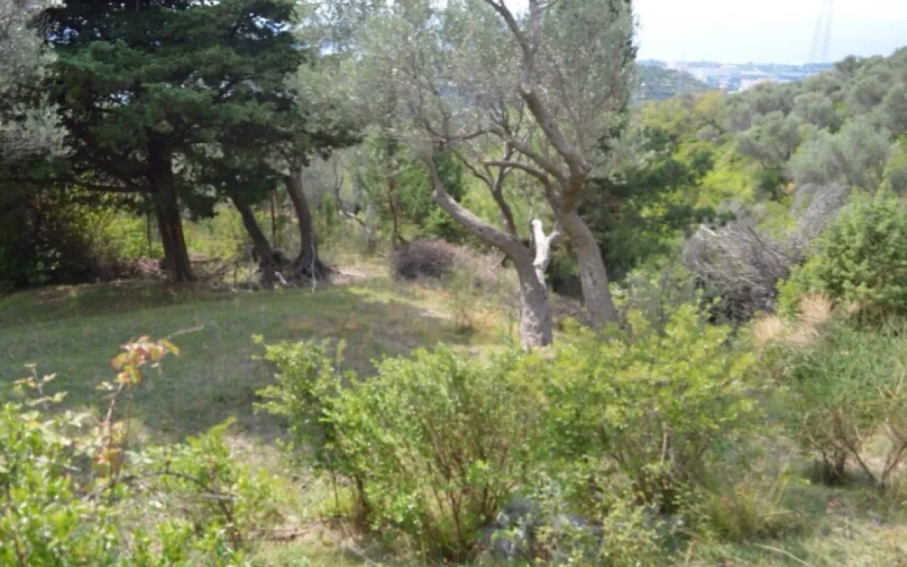 Prodaja, plac, 3014m², Velembusi, Bar