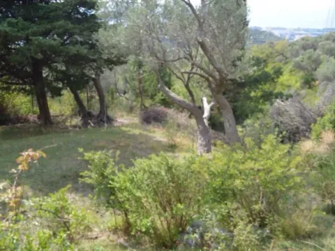 Prodaja, plac, 3014m², Velembusi, Bar - image 3