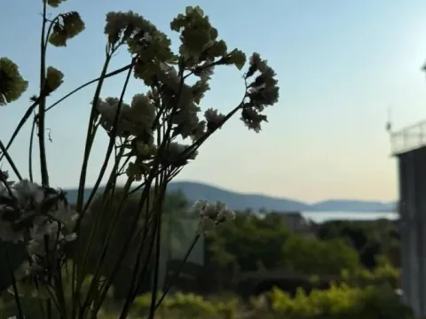 Sale, studio apartment, 27m², Centar, Tivat - image 3