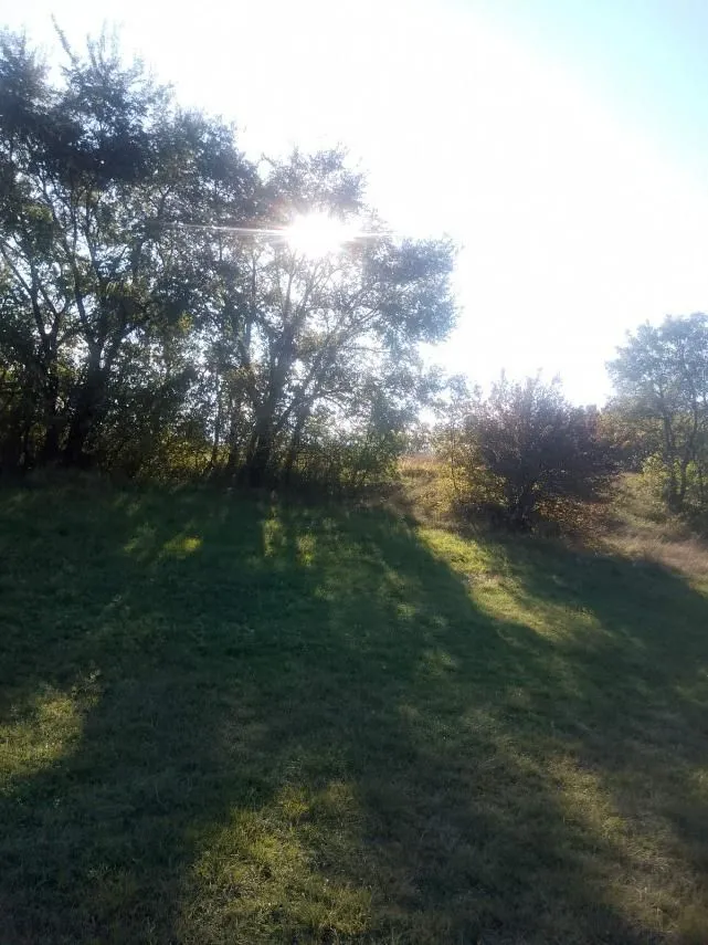 Prodaja, plac, 3150m², Nikšić, Crna Gora