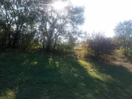 Sale, land lot, 3150m², Nikšić, Crna Gora - image 2