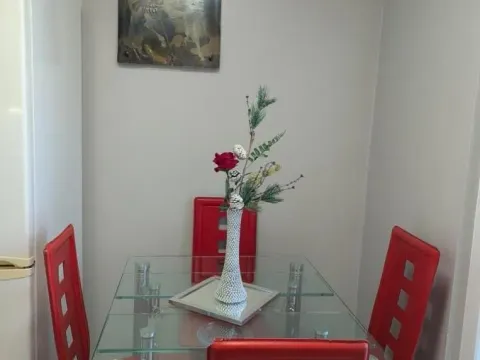Prodaja, stan, 46m², Detelinara, Novi Sad Sve Podlokacije - image 6