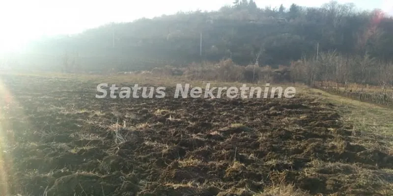 Prodaja, plac, 4000m², Sremski Karlovci, Novi Sad