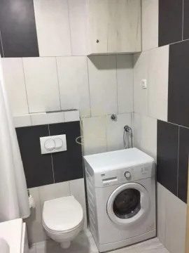 Kupatilo opremljeno toaletom, veš mašinom i zidnim elementom. - image 13