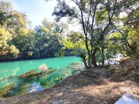 View of the river and wooded bank surrounded by greenery. - image 3