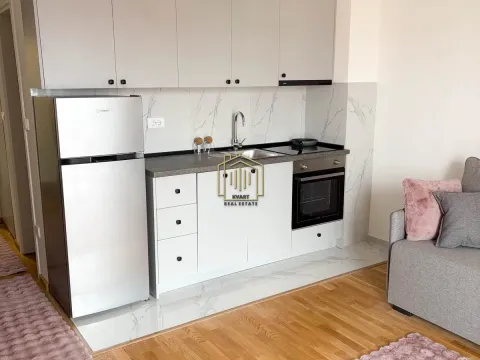 Izdavanje, stan, 33m², Zabjelo, Podgorica - image 5