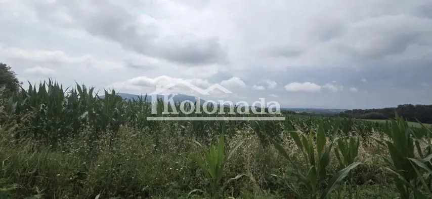 Prodaja, plac, 7400m², Nemenikuće, Sopot