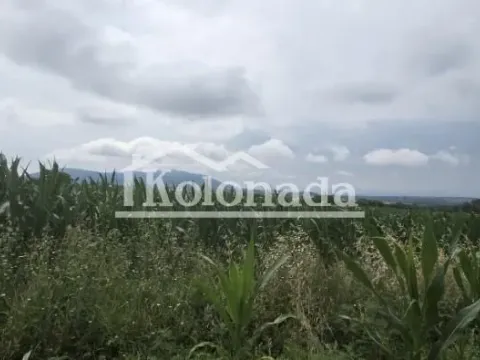 Prodaja, plac, 7400m², Nemenikuće, Sopot - image 3