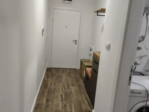 Rent, studio apartment, 32m², Telep, Novi Sad Sve Podlokacije - image 4