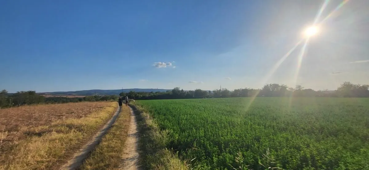 Prodaja, plac, 1438m², Petrovaradin, Novi Sad