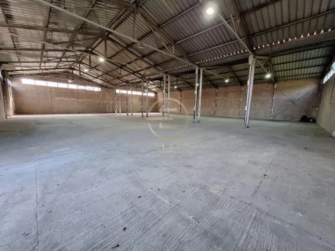 Rent, office space, 750m², Veternička rampa, Novi Sad Sve Podlokacije