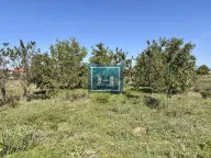 Prodaja, kuća, 77m², Kolonija, Jagodina - image 7