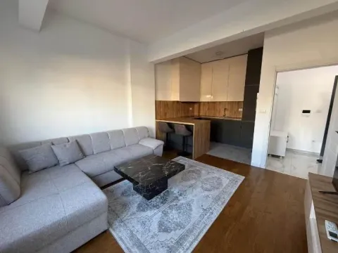 Prodaja, jednosoban stan, 43m², Zabjelo, Podgorica - image 2