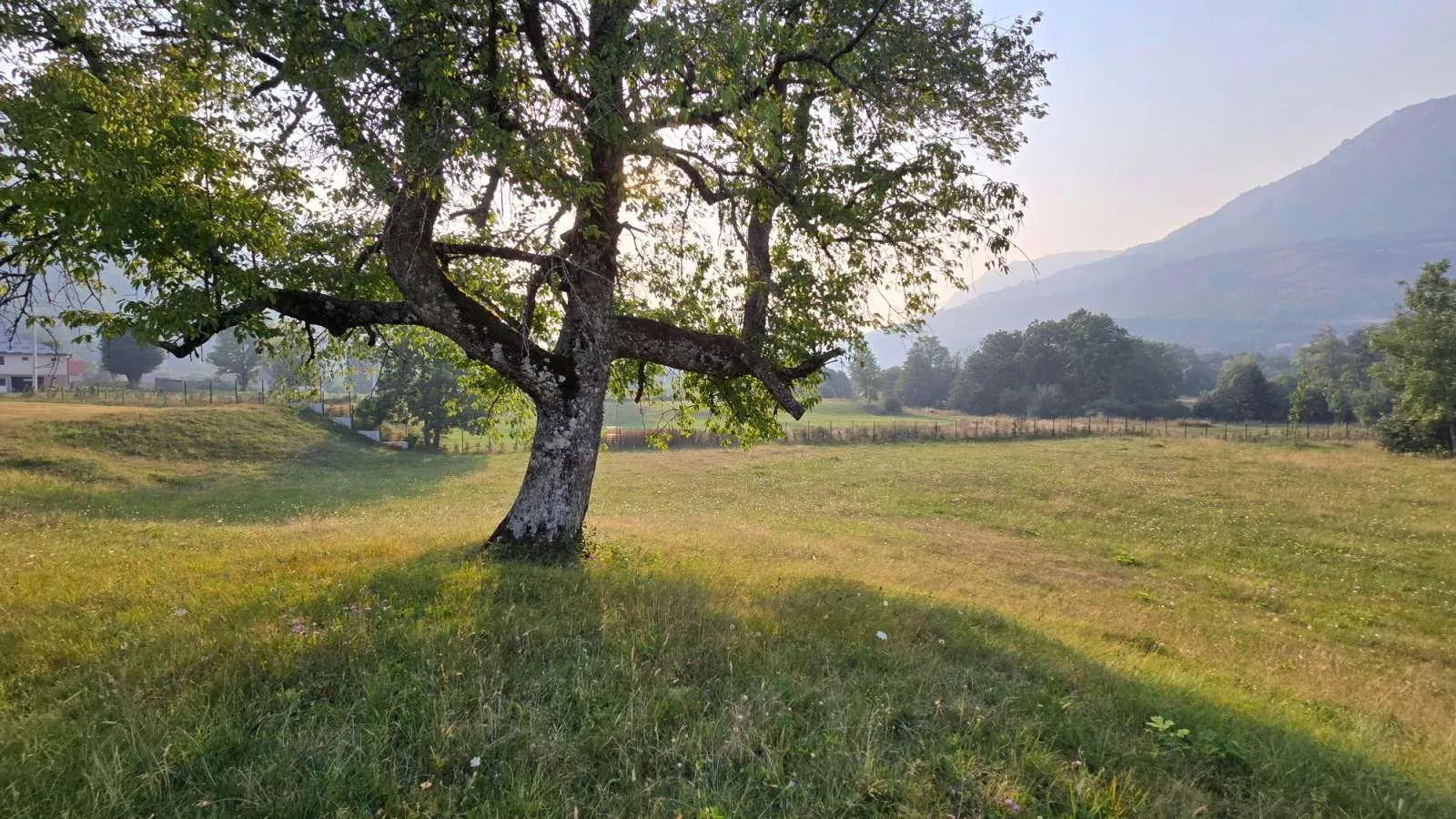 Prodaja, plac, 9892m², Kolašin, Crna Gora