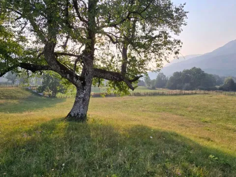 Prodaja, plac, 9892m², Kolašin, Crna Gora - image 6