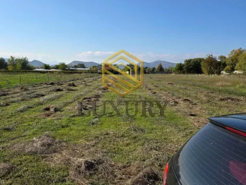 Prodaja, plac, 1519m², Zeta, Podgorica - image 3