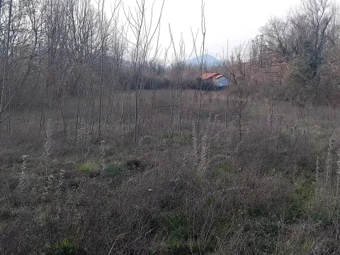 Prodaja, plac, 2400m², Dajbabe, Podgorica - image 5