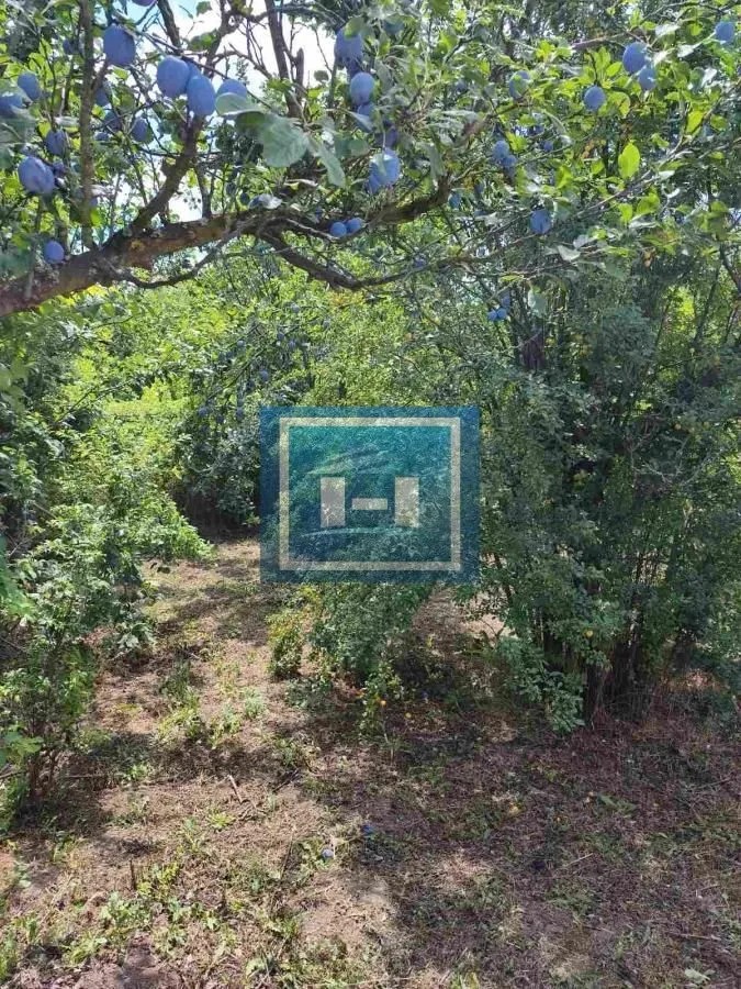 Prodaja, plac, 573m², Krežbinac, Paraćin