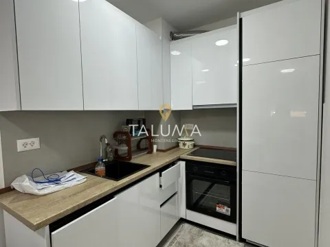 Izdavanje, jednosoban stan, 46m², Stari Aerodrom, Podgorica - image 5