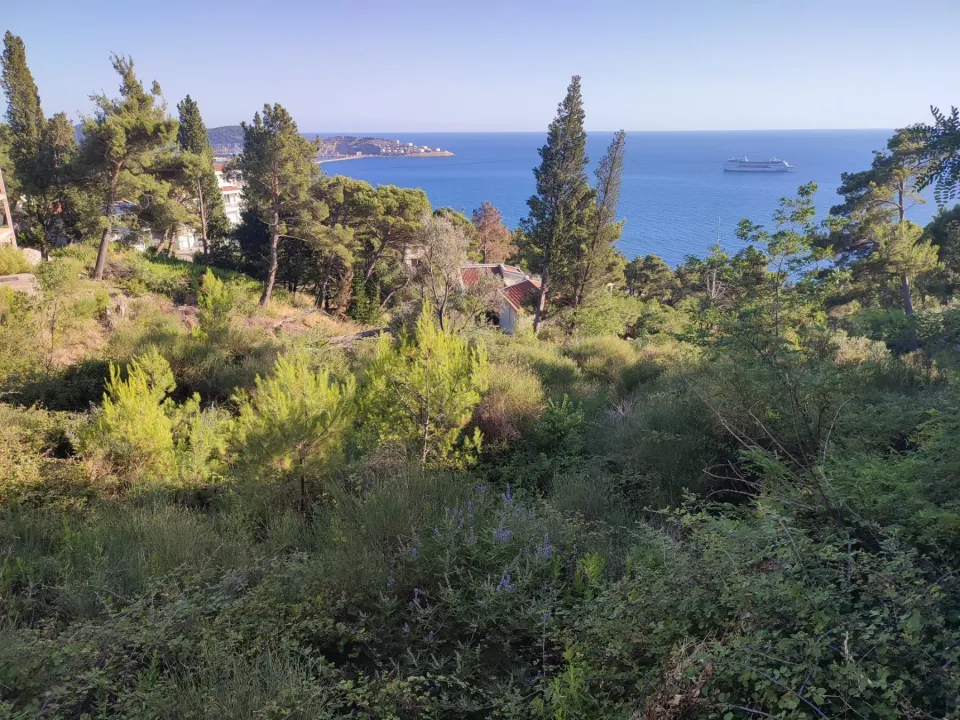 Sale, land lot, 3400m², Zeleni Pojas, Bar